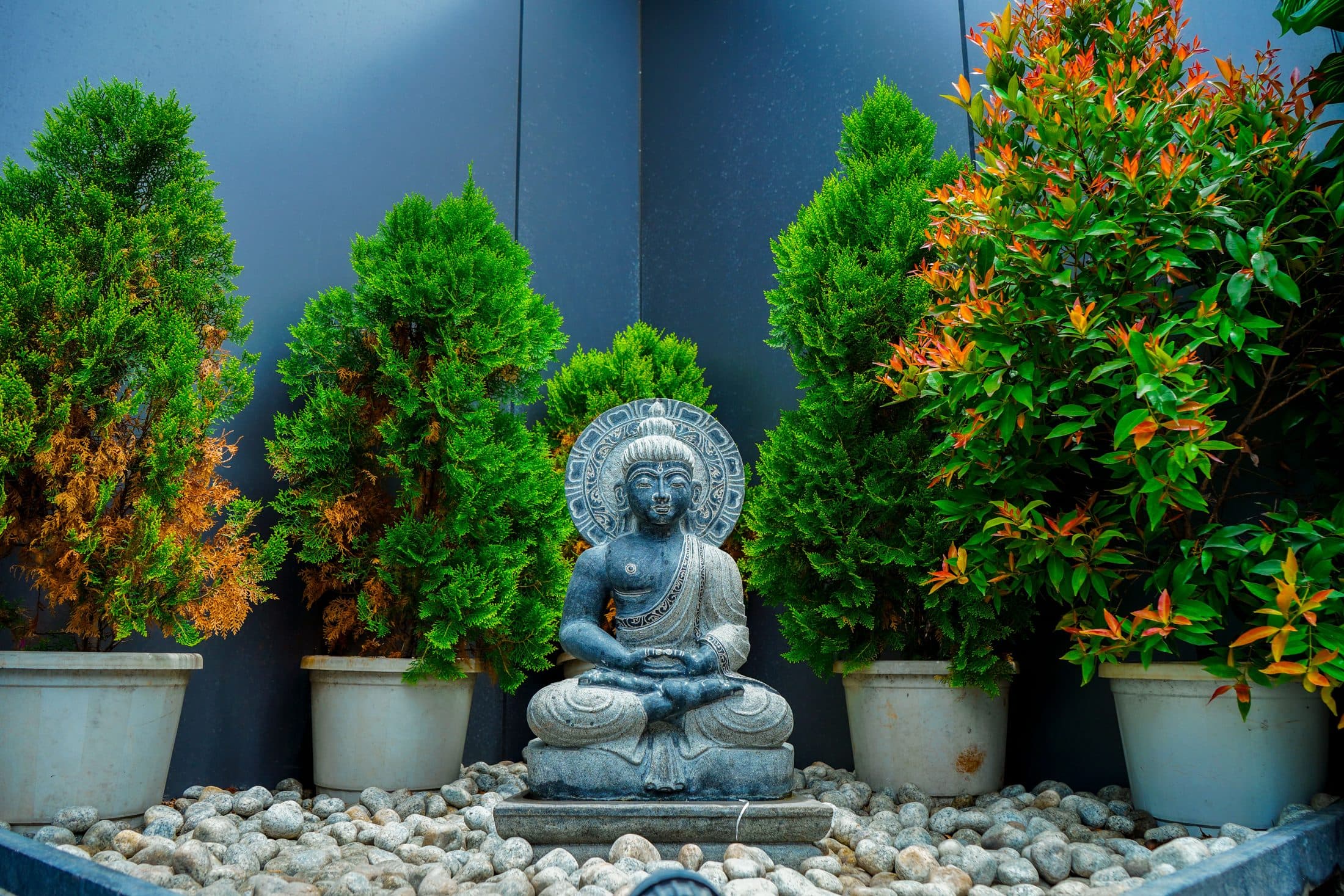 The entrance, greenery and garden — Dancing Chef Biriyani, Coimbatore (6)
